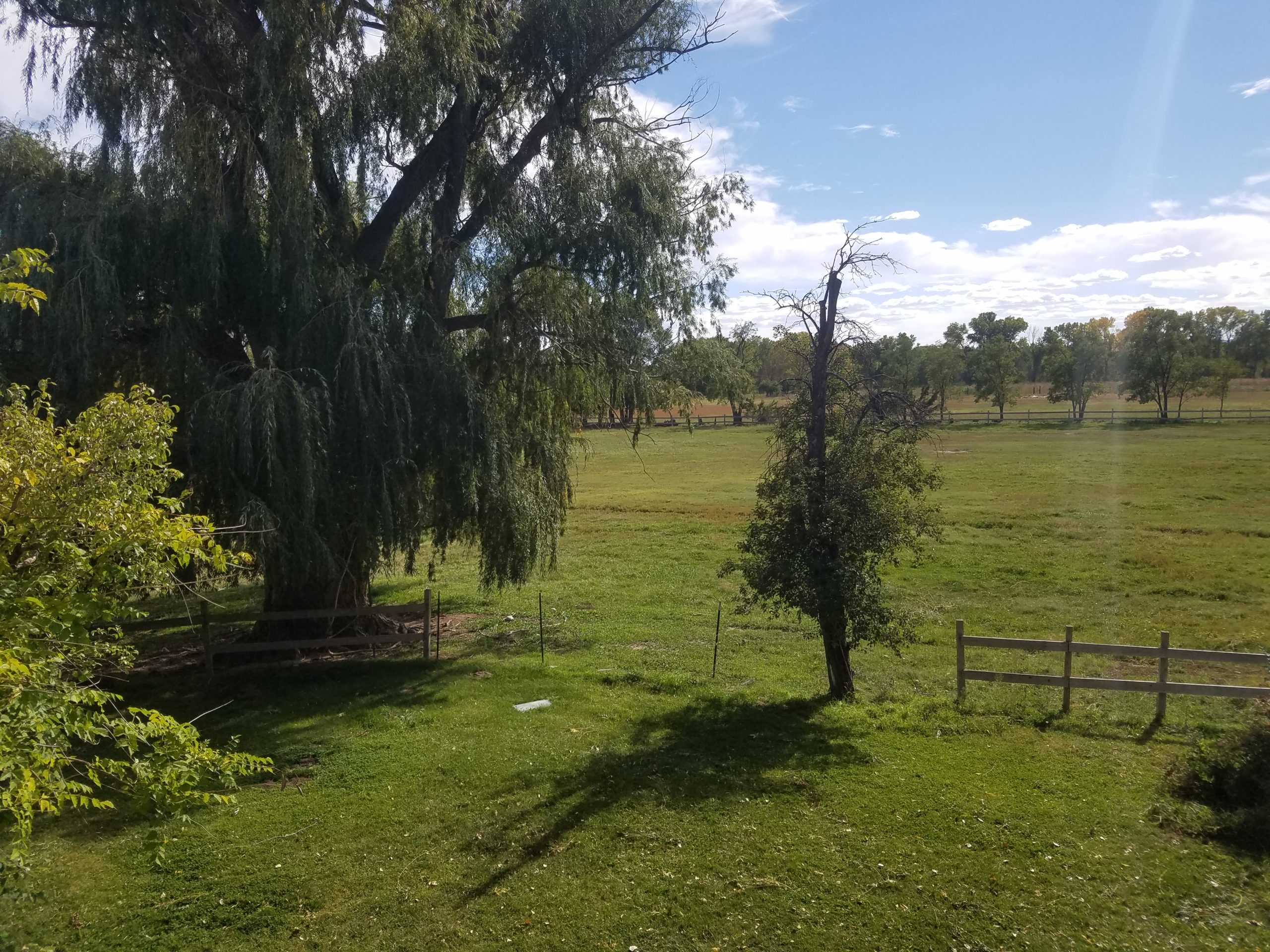 View towards the orchards